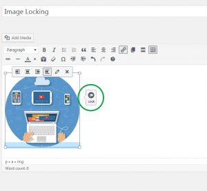 How to lock images with Patron Pro